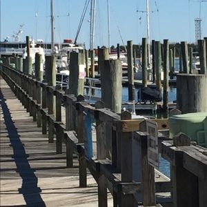 Meet your Posher, Susan